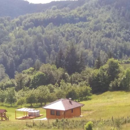 Turizam Koturovic Bed and Breakfast Ivanjica Buitenkant foto