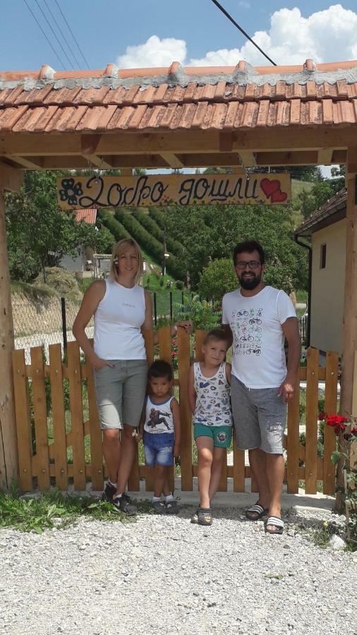 Turizam Koturovic Bed and Breakfast Ivanjica Buitenkant foto