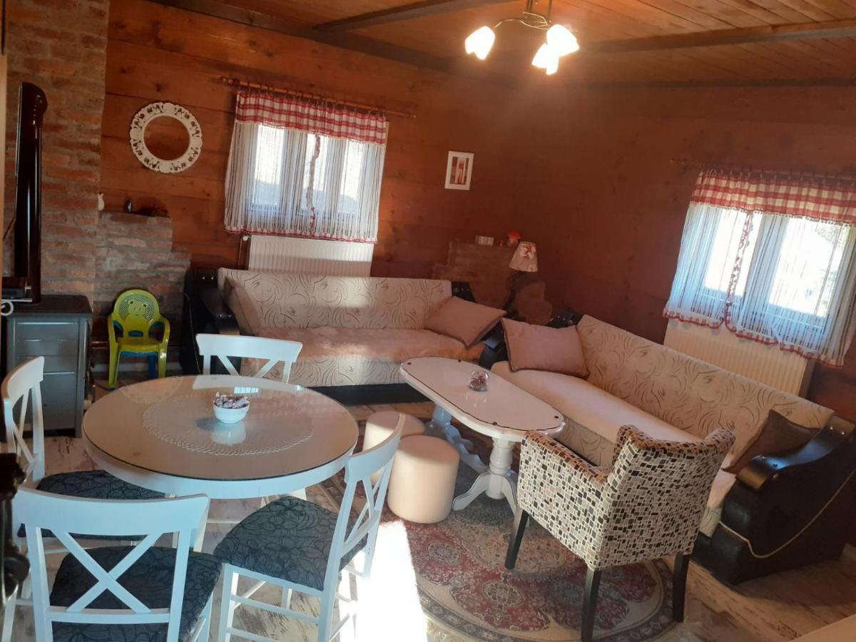 Turizam Koturovic Bed and Breakfast Ivanjica Buitenkant foto