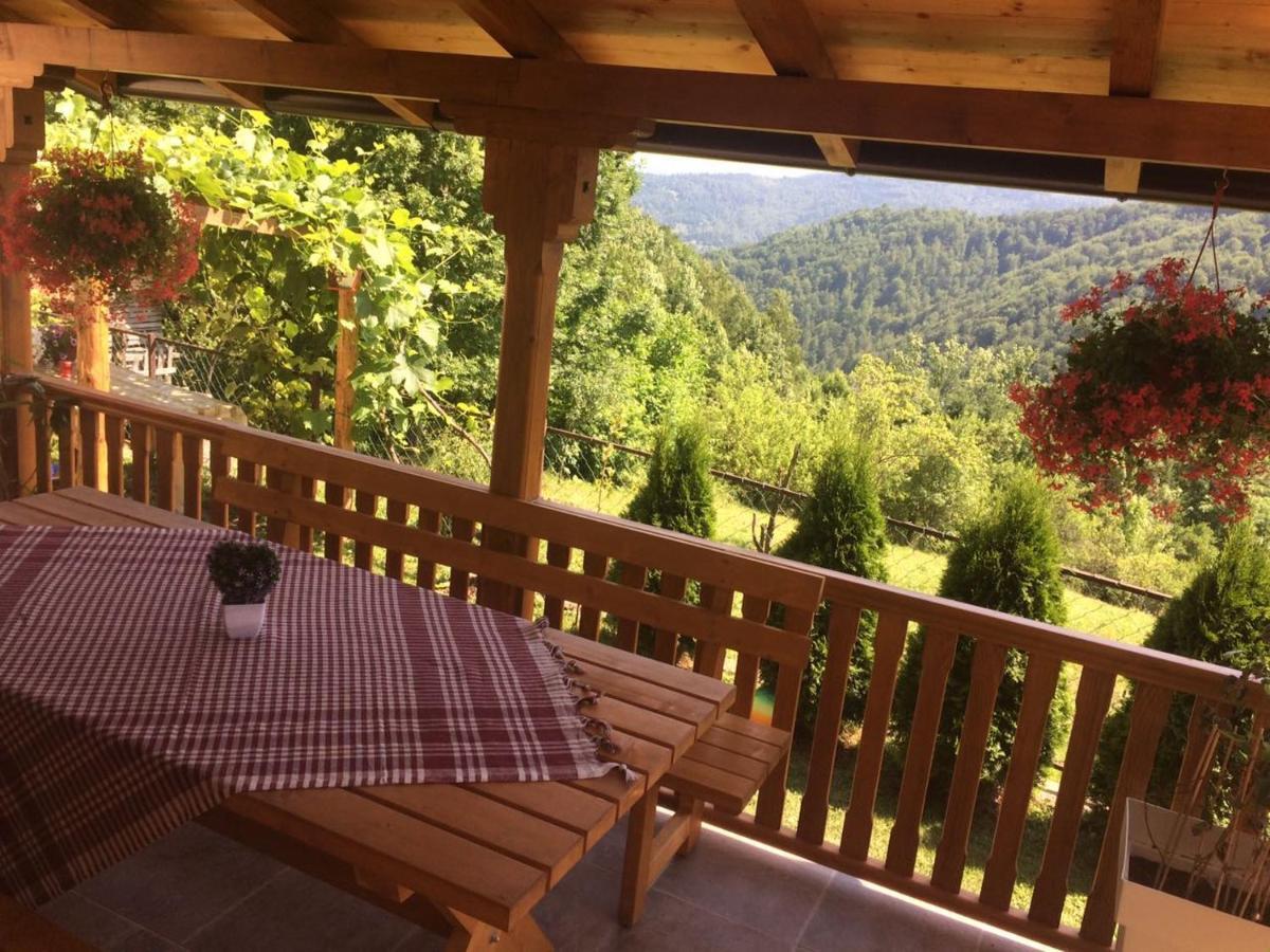 Turizam Koturovic Bed and Breakfast Ivanjica Buitenkant foto